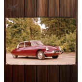 Металлическая табличка Citroen DS 19